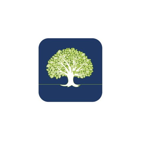 Mutual fund cover img